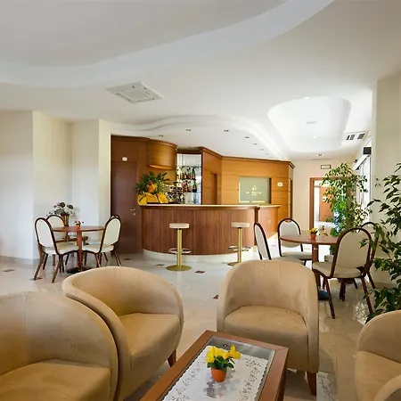 Hotell Ambasciatori Bellaria-Igea Marina